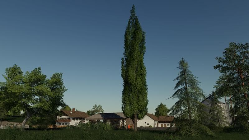Placeable poplar 3