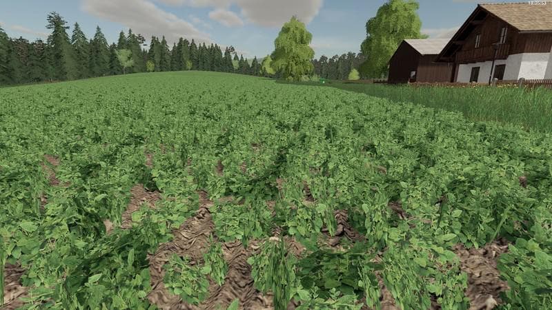Plant rows by Albinator 4