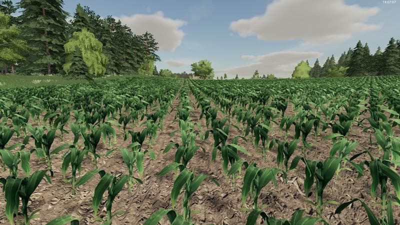 Plant rows by Albinator 3
