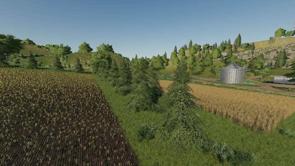 Plantable Spruce Trees 4