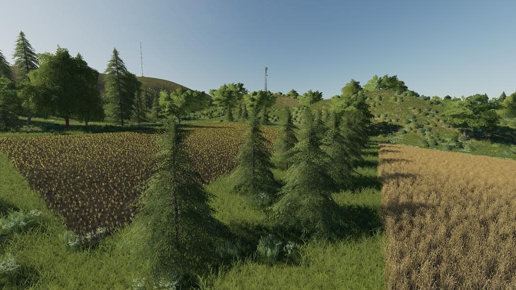 Plantable Spruce Trees 3