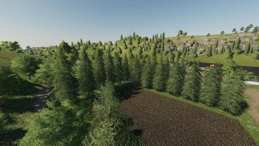 Plantable Spruce Trees