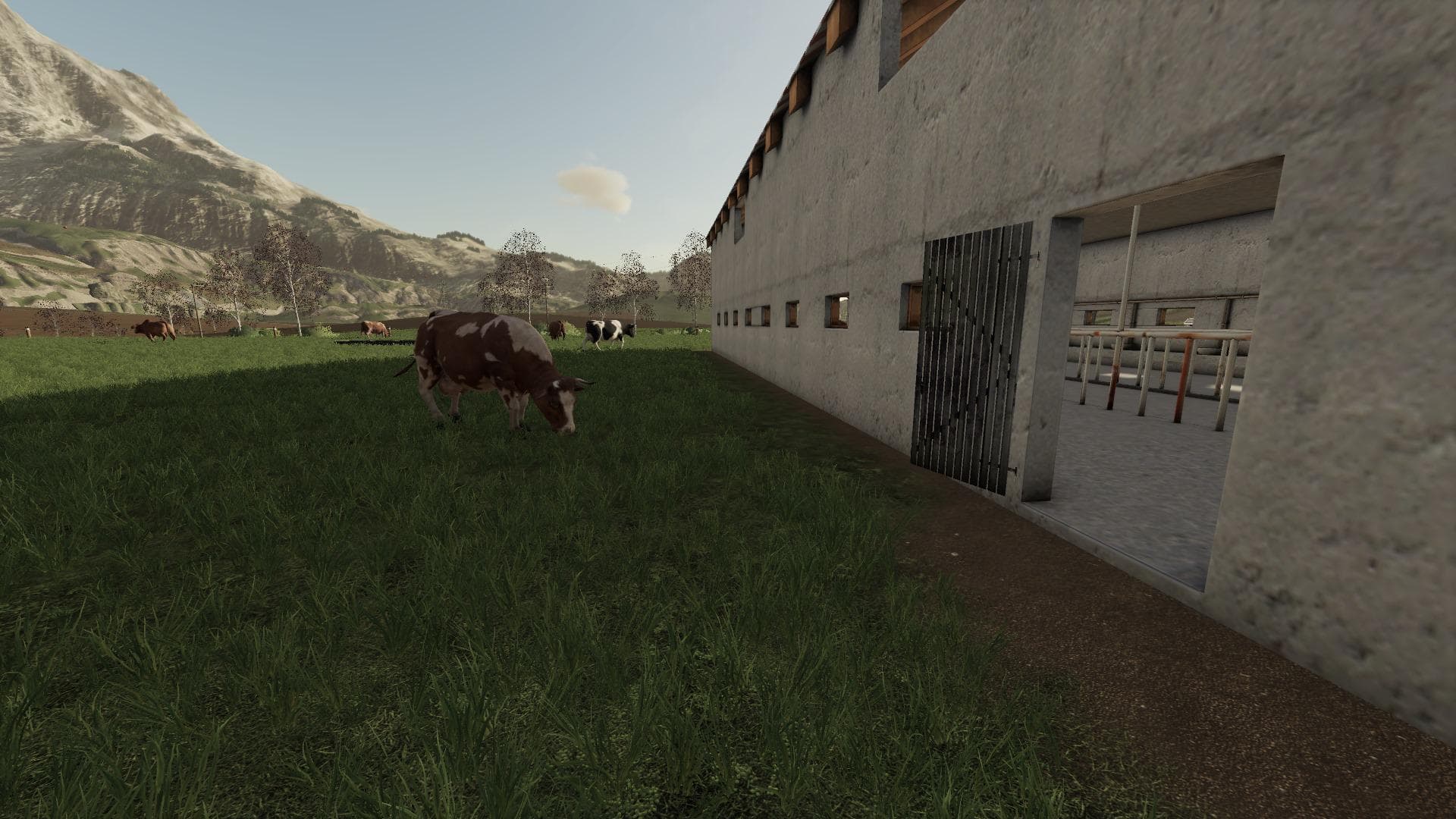 Polish Cow Pasture 4