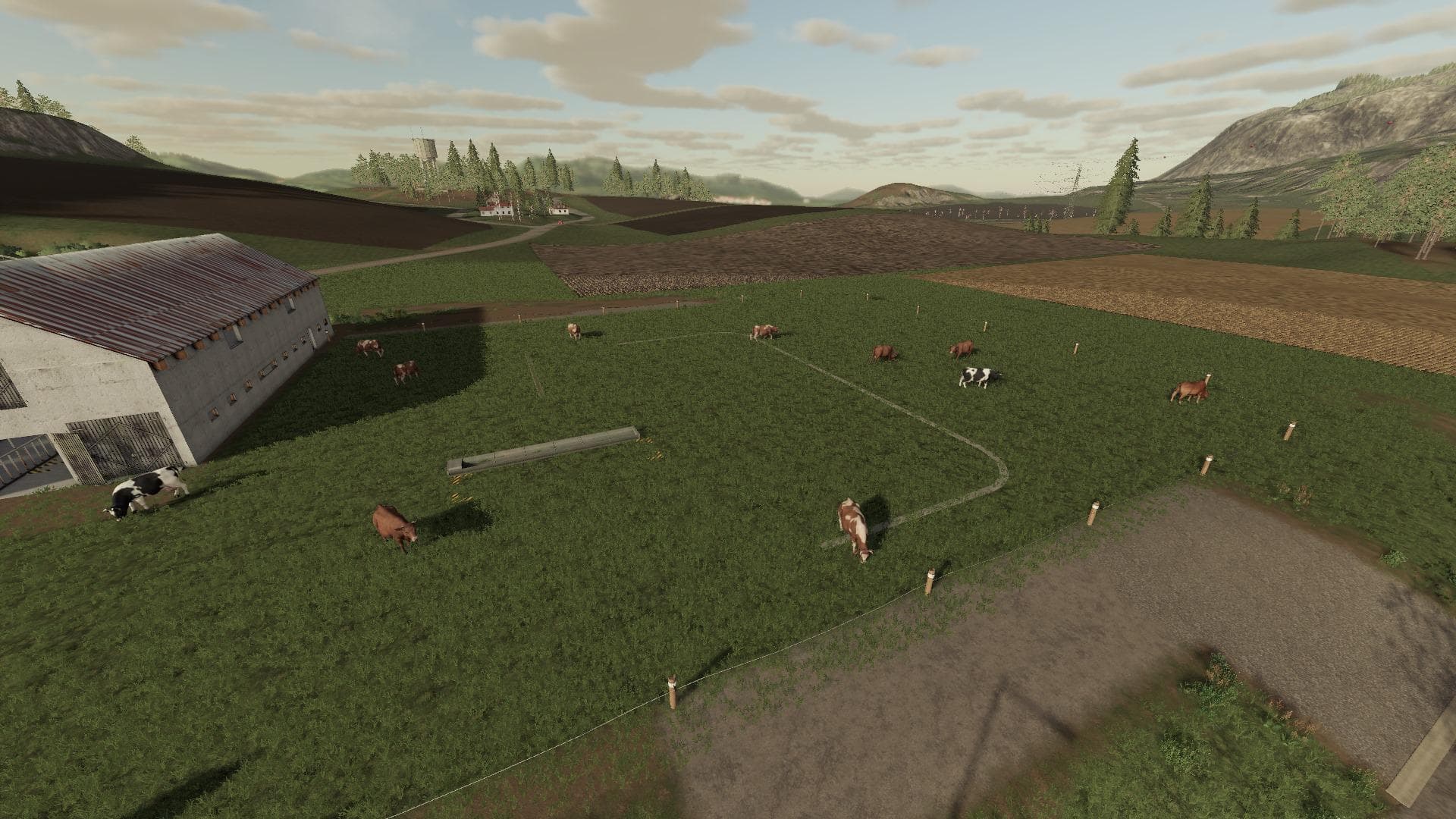 Polish Cow Pasture