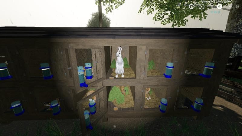 RABBIT BREEDING 4