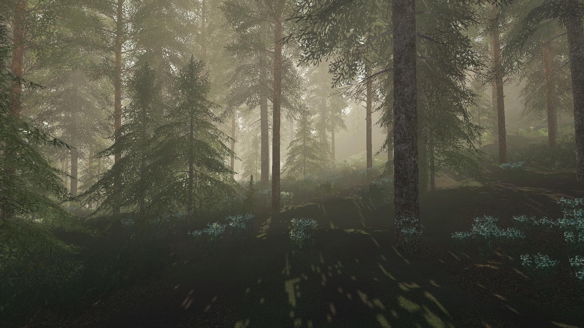 RAMNA MAP 4