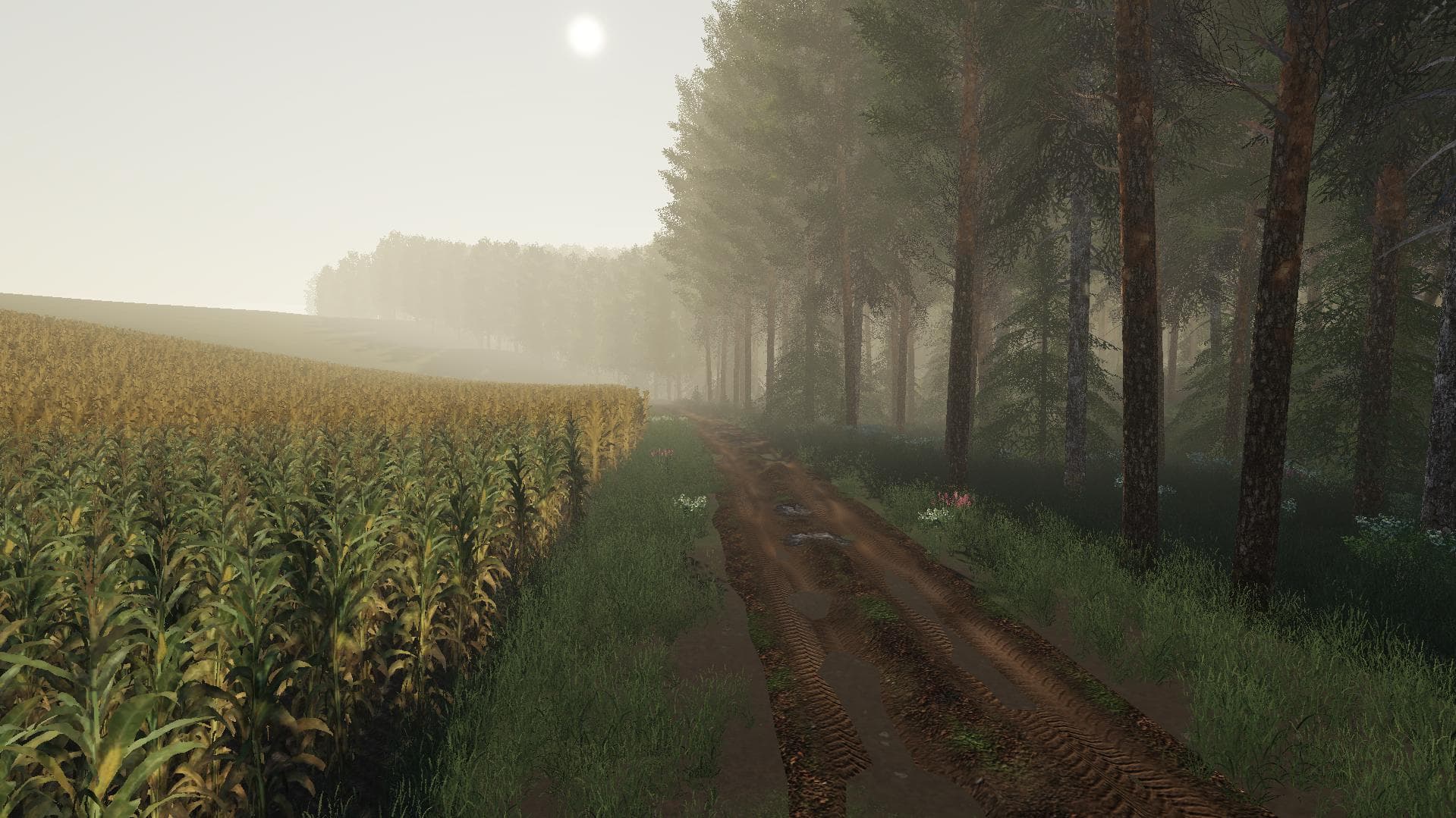 RAMNA MAP 3