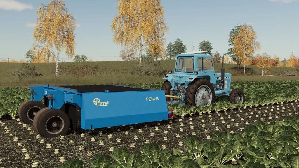 RBM-6 5