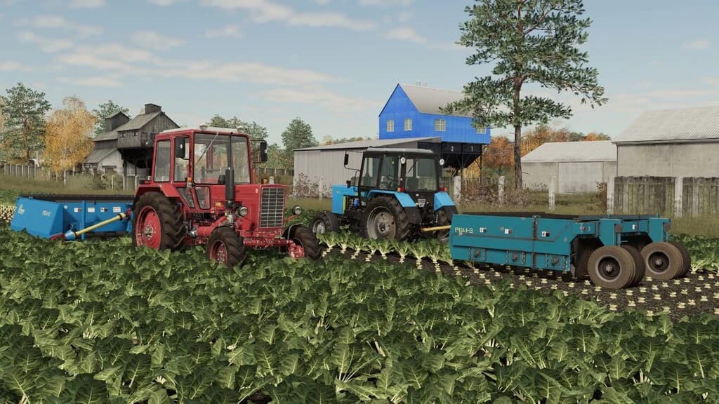 RBM-6 4
