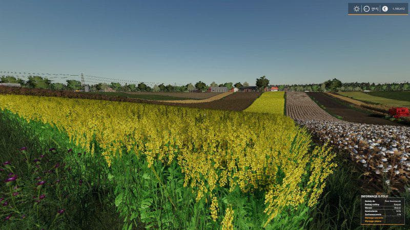 REAL CROP DENSITY 5