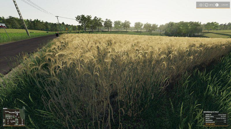 REAL CROP DENSITY 3