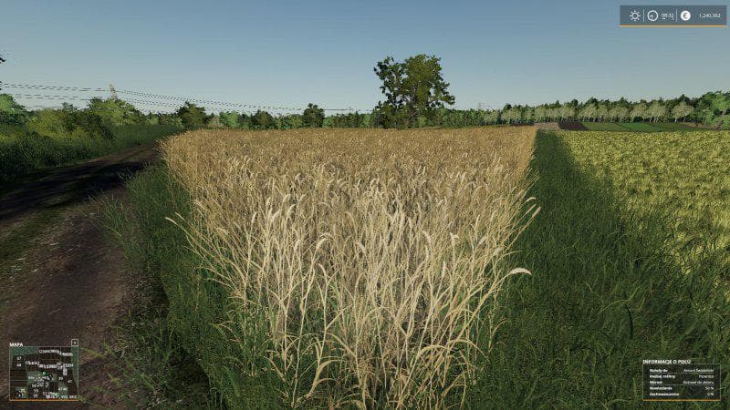 REAL CROP DENSITY 2