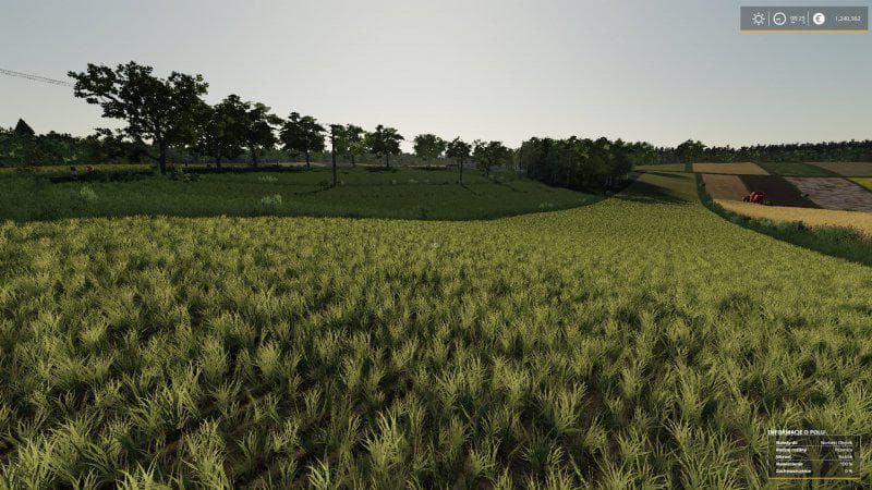 REAL CROP DENSITY
