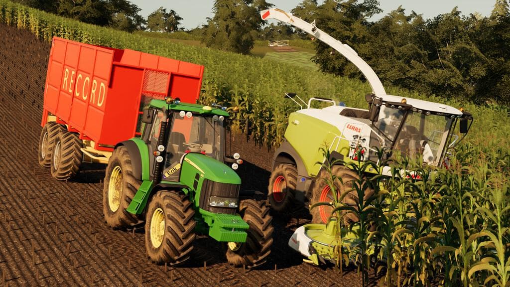 RECORD SILAGE 2
