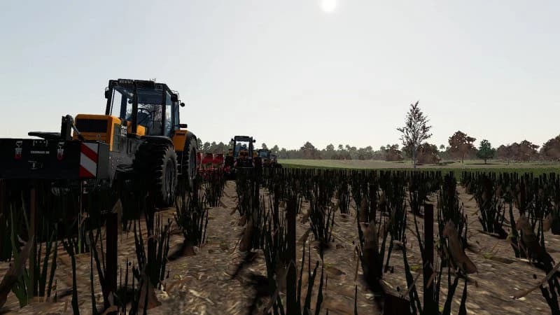 RENAULT PACK TX 3