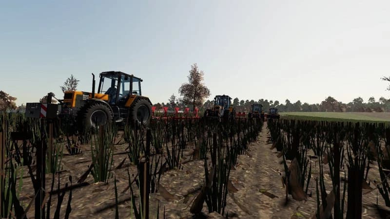 RENAULT PACK TX 2