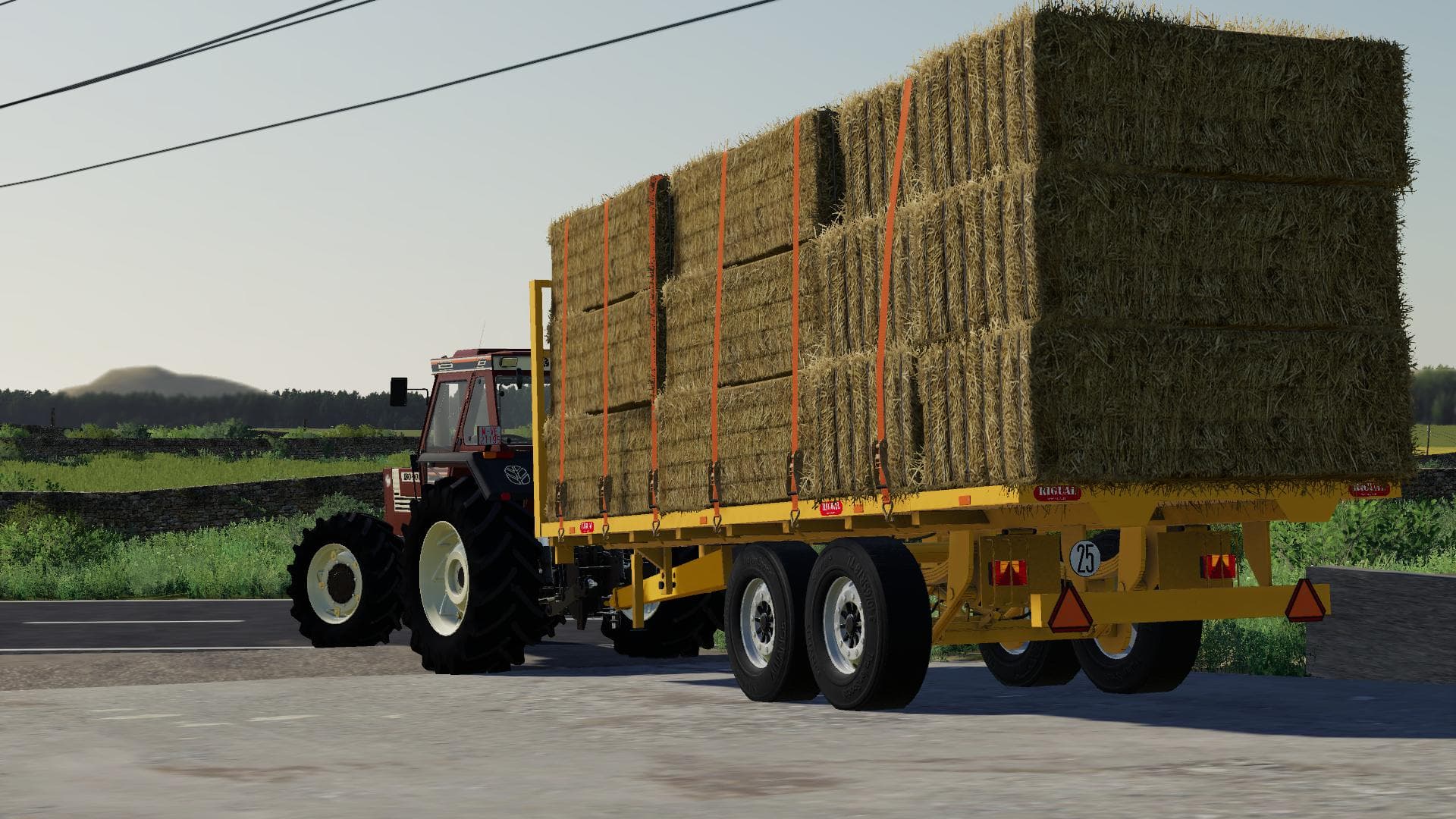 RIGUAL PLT-600 4