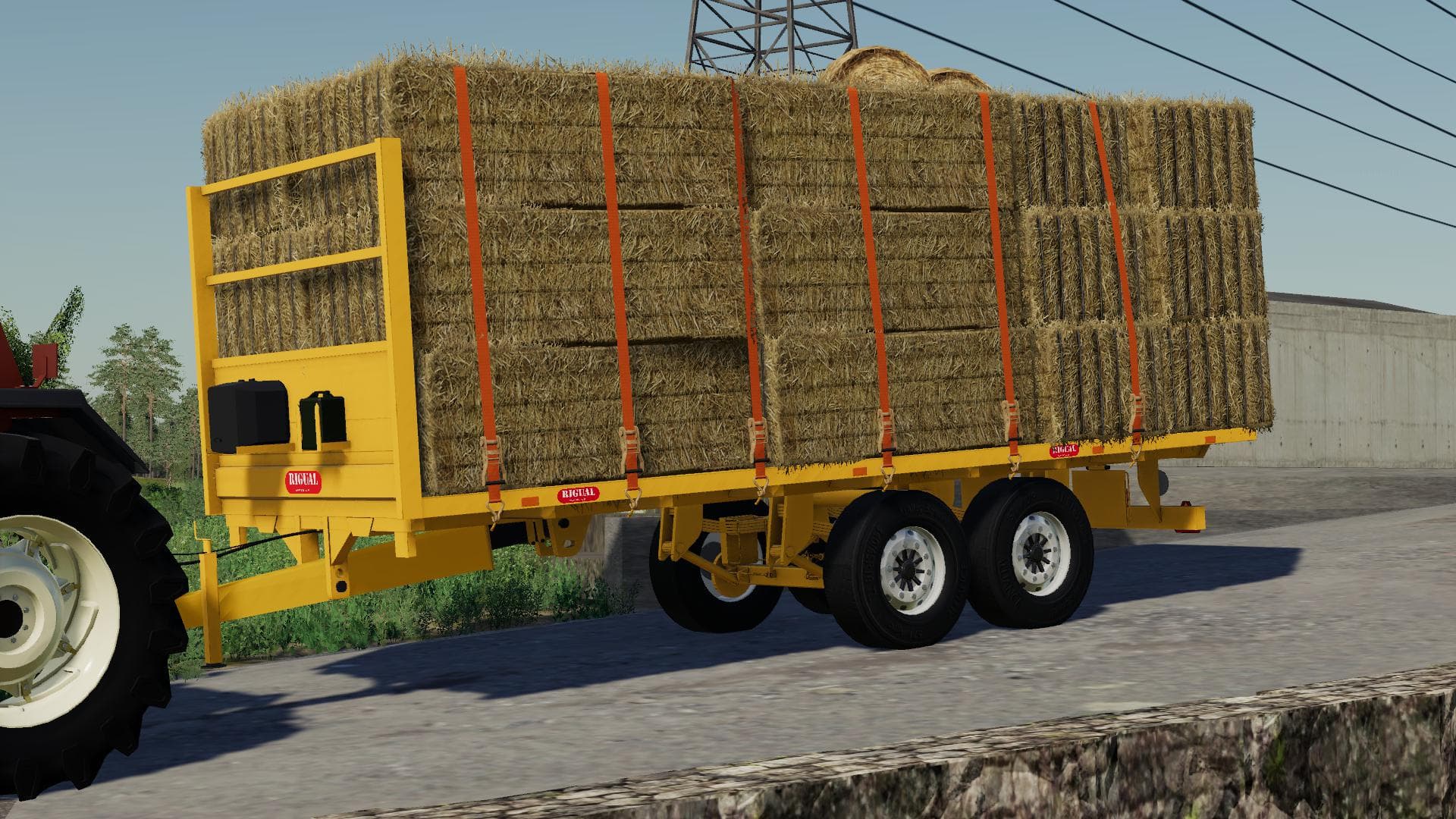 RIGUAL PLT-600 3