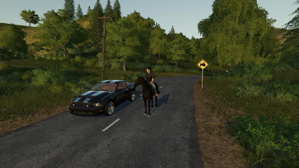 ROAD RAGE