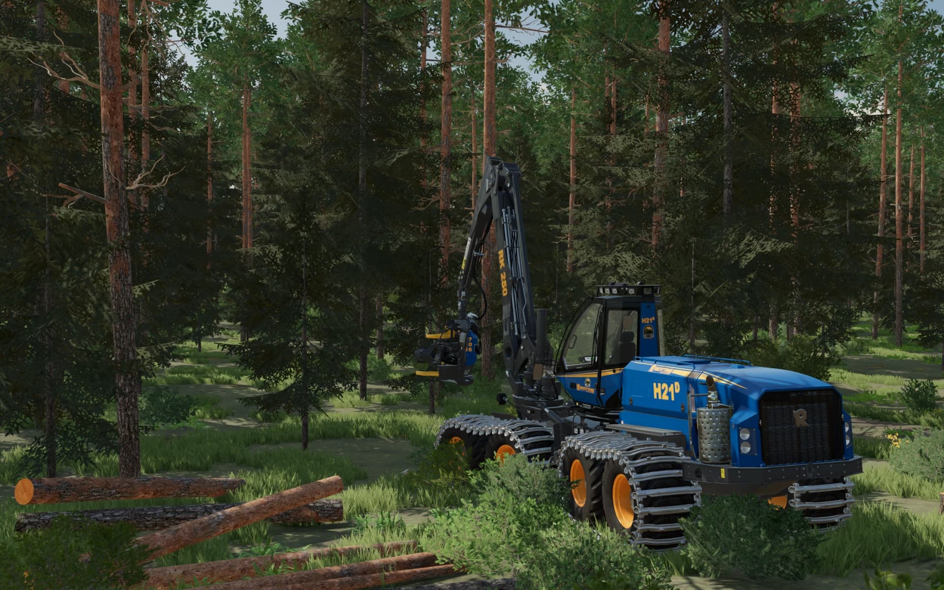 ROTTNE H21D