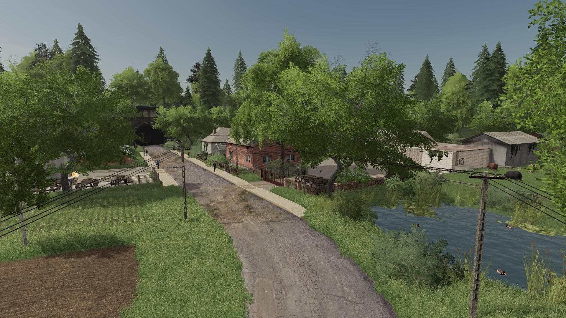 ROZA MAP 5