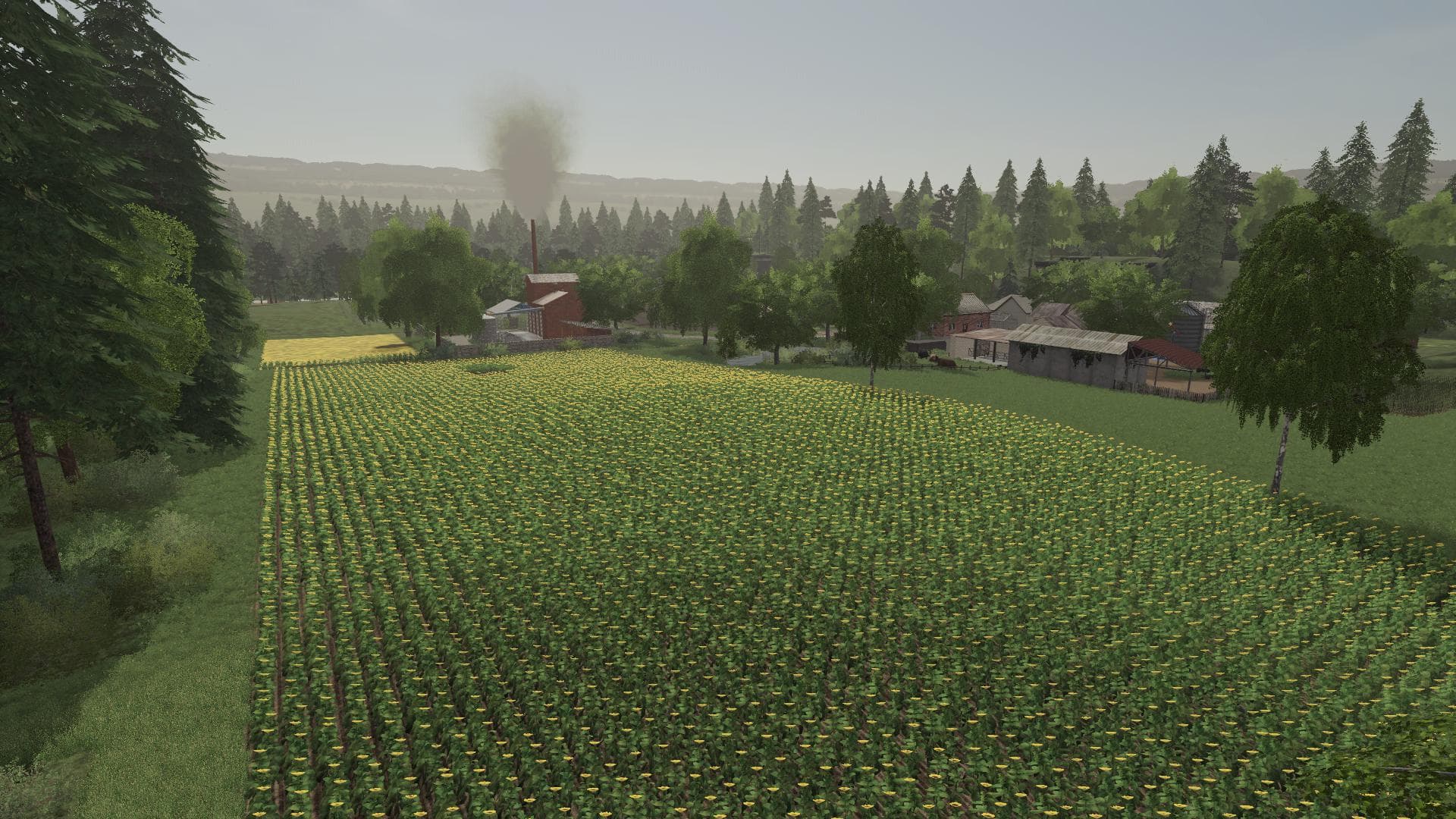 ROZA MAP 4