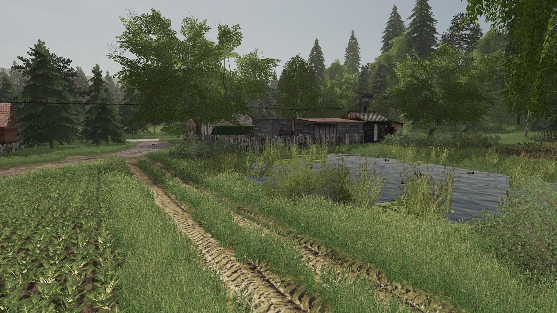 ROZA MAP 2