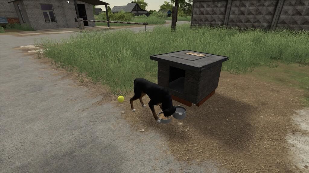 RUSSIAN DOG HOUSE
