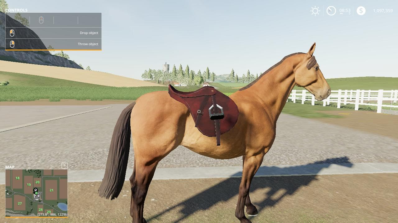 SADDLE PICKUPABLE BETA