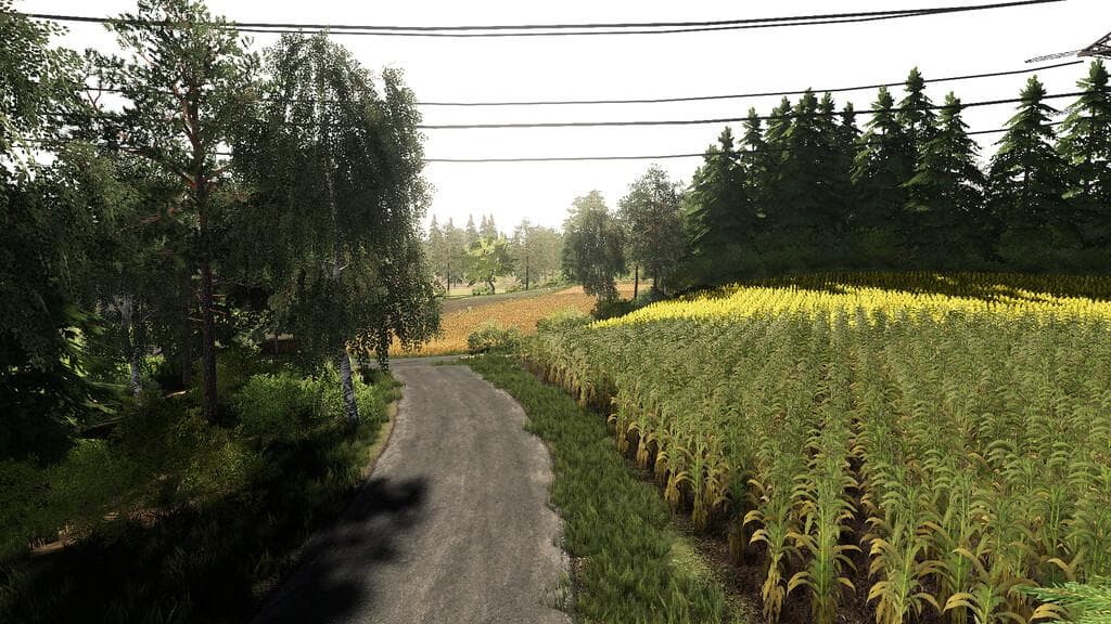SADKOW MAP 5