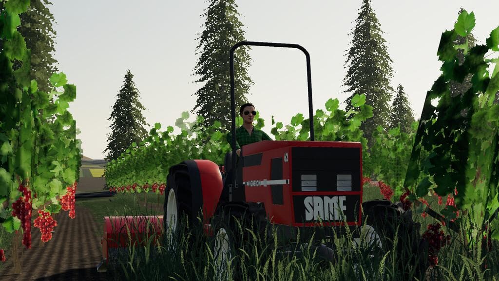 SAME VIGNERON / FRUTTETO 2
