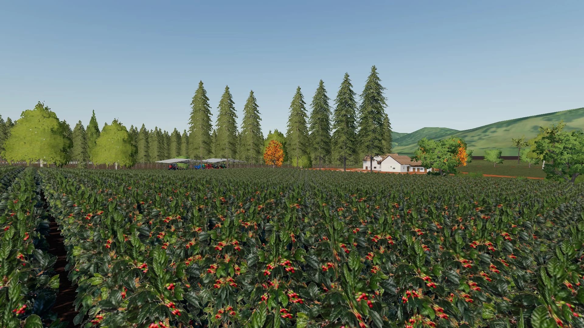 SANTO ANJO FARM 2