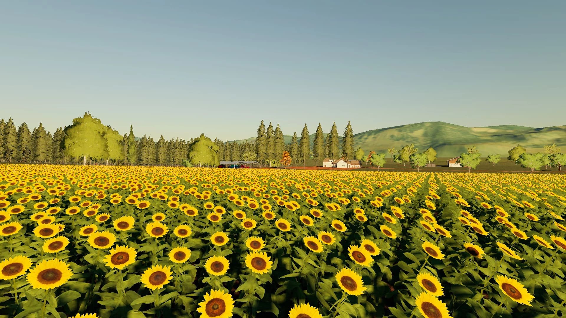 SANTO ANJO FARM