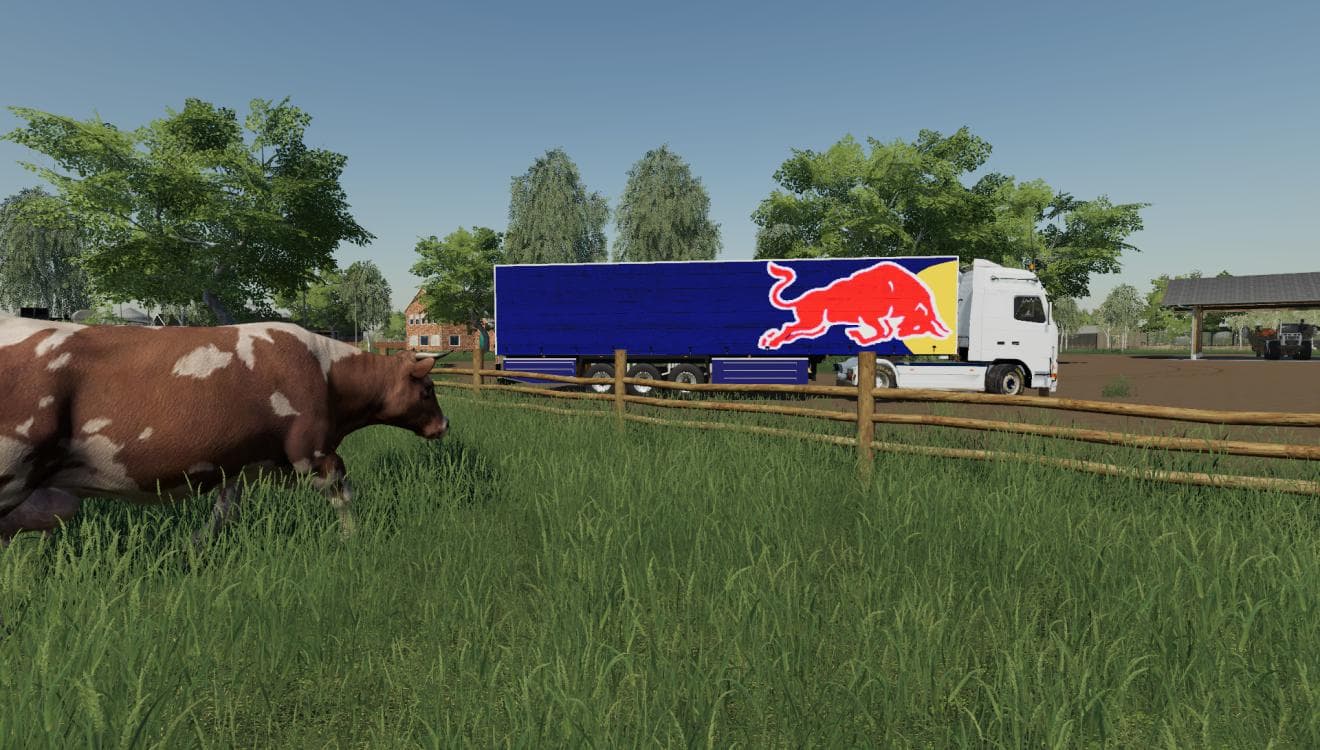 SCHMITZ CARGO RED BULL 2