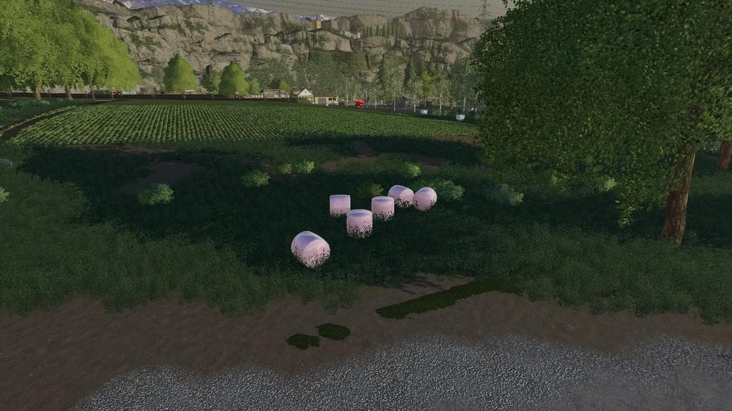 SEEBALES 3