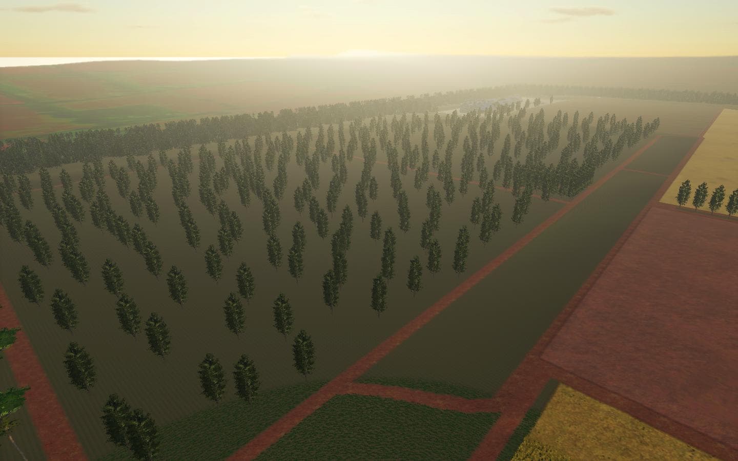 SERIEMA FARM 4