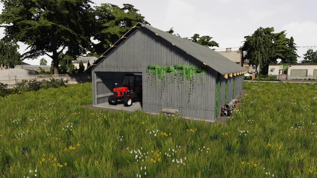 SHED 5