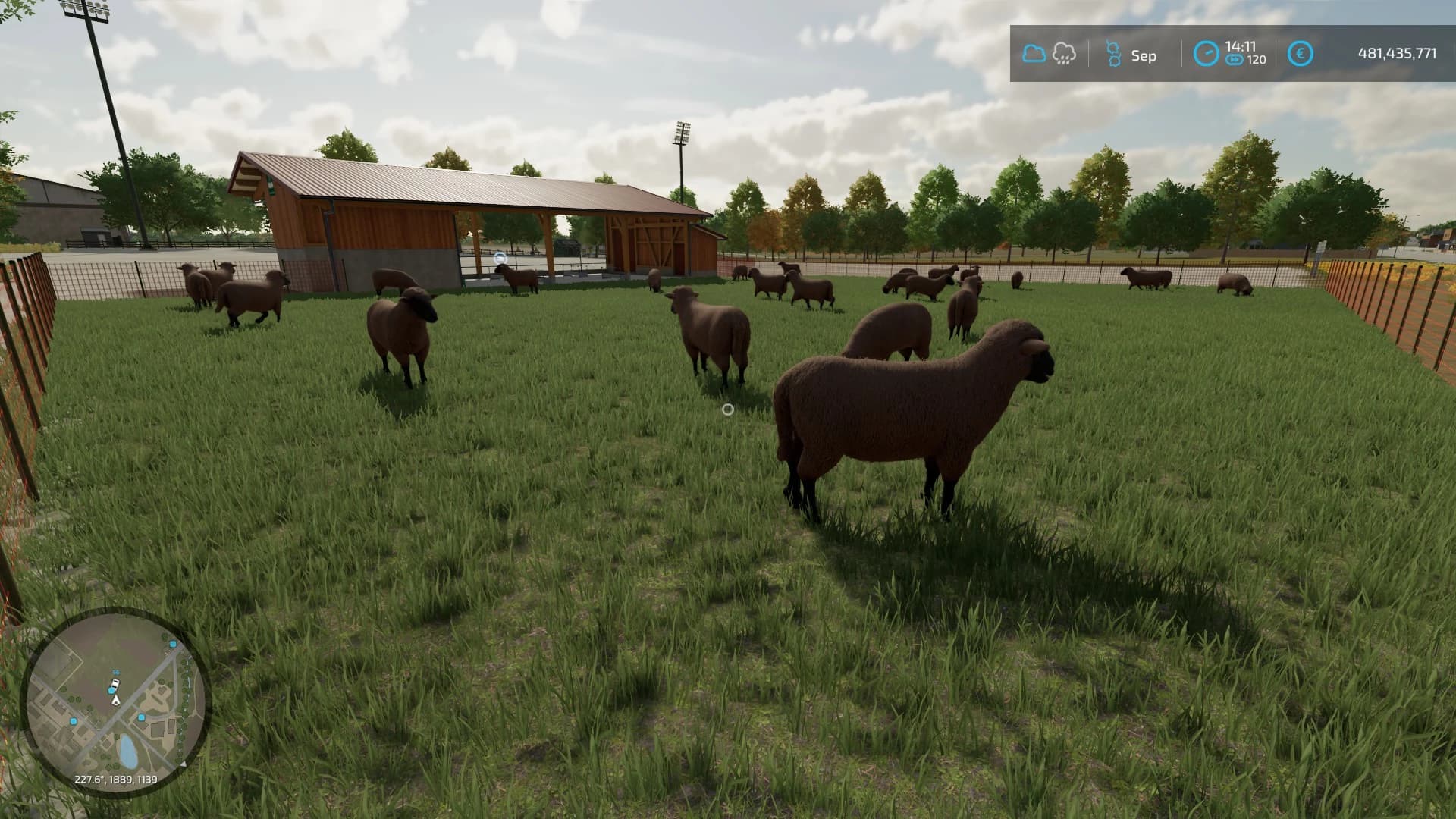 SHEEP BARN BIG