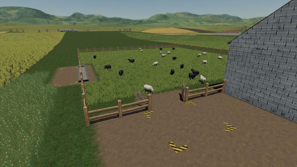 SHEEP PASTURE LARGE 2