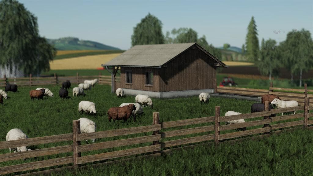 SHEEP PASTURE 3