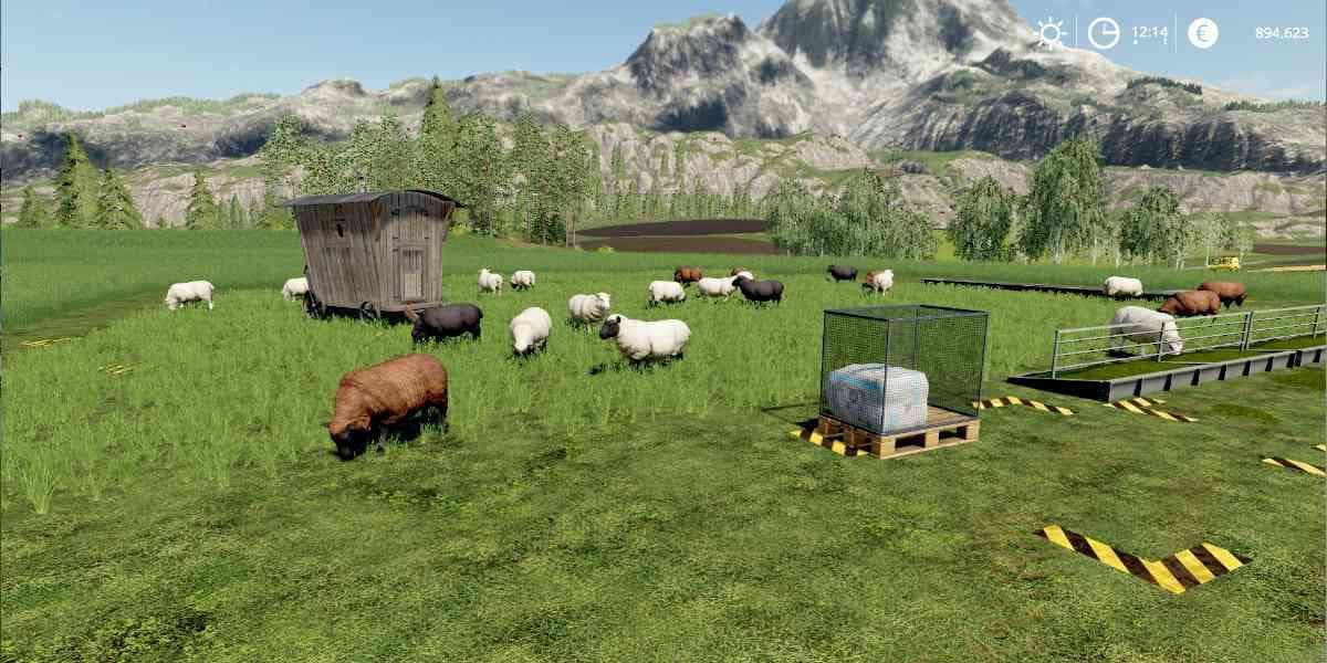 SHEEP PASTURE WITHOUT FENCE 4