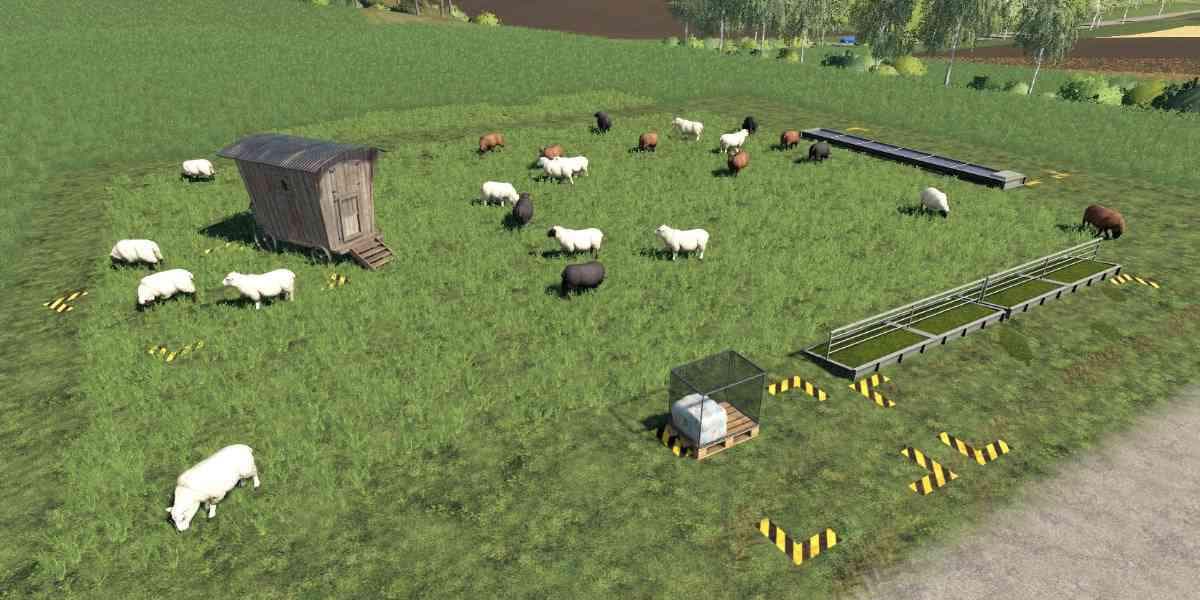 SHEEP PASTURE WITHOUT FENCE 3