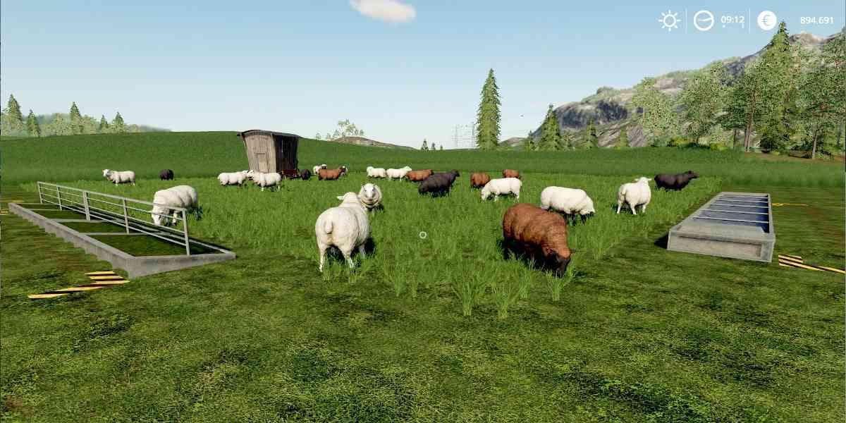 SHEEP PASTURE WITHOUT FENCE 2