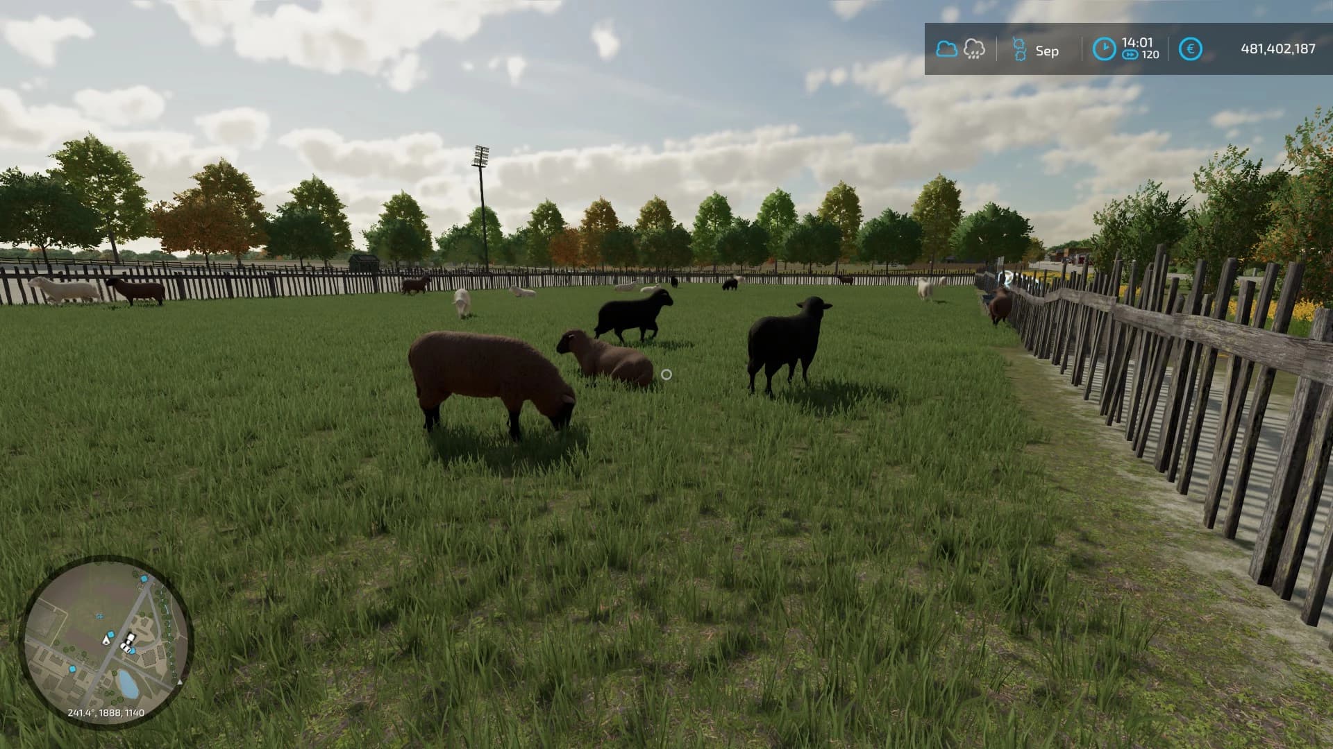 SHEEPBARNXXL