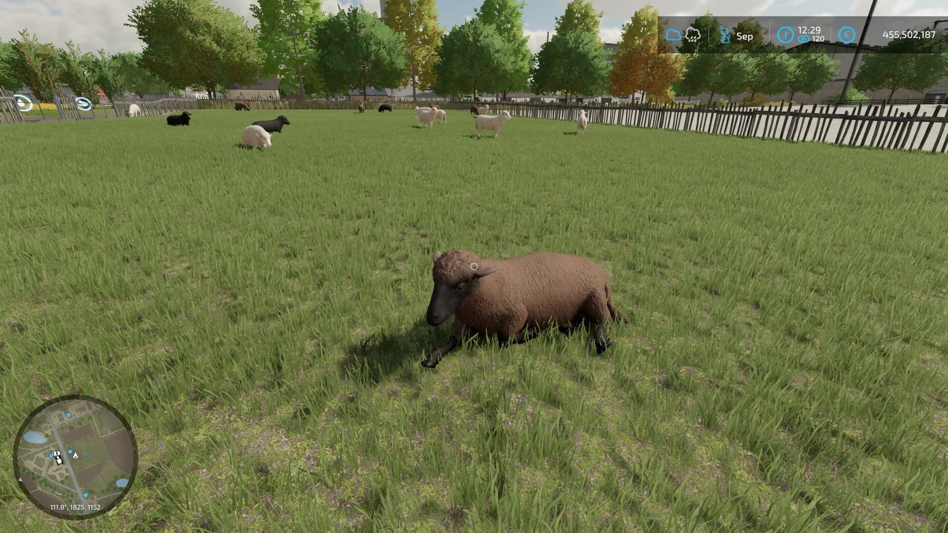 SHEEPBARNXXL 2