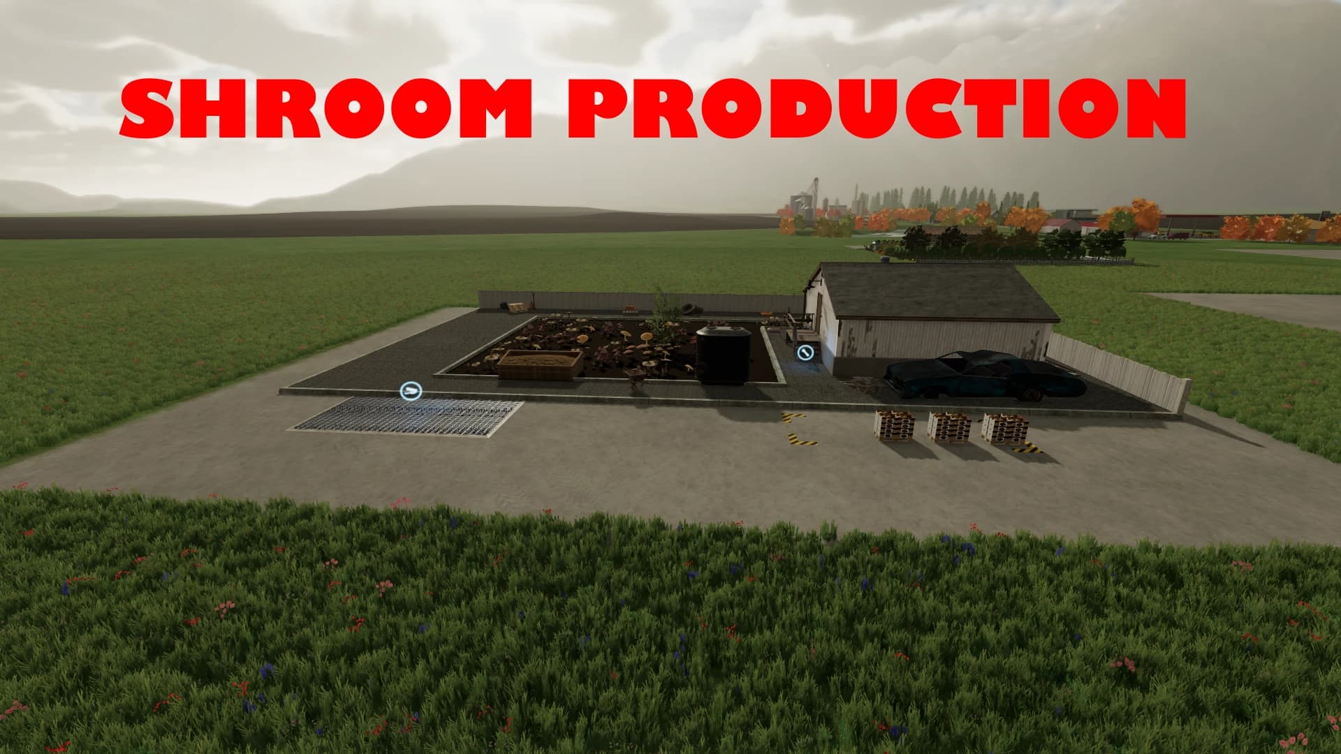 SHROOM PRODUCTION 3