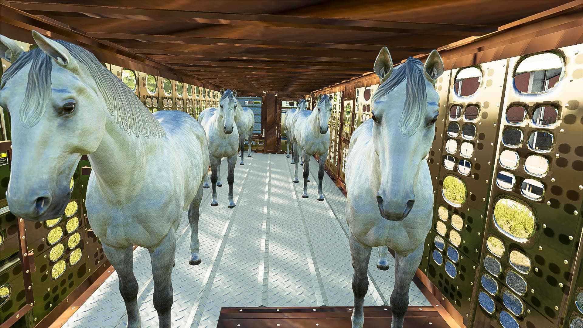 SILVERSTAR HORSE TRAILER 4