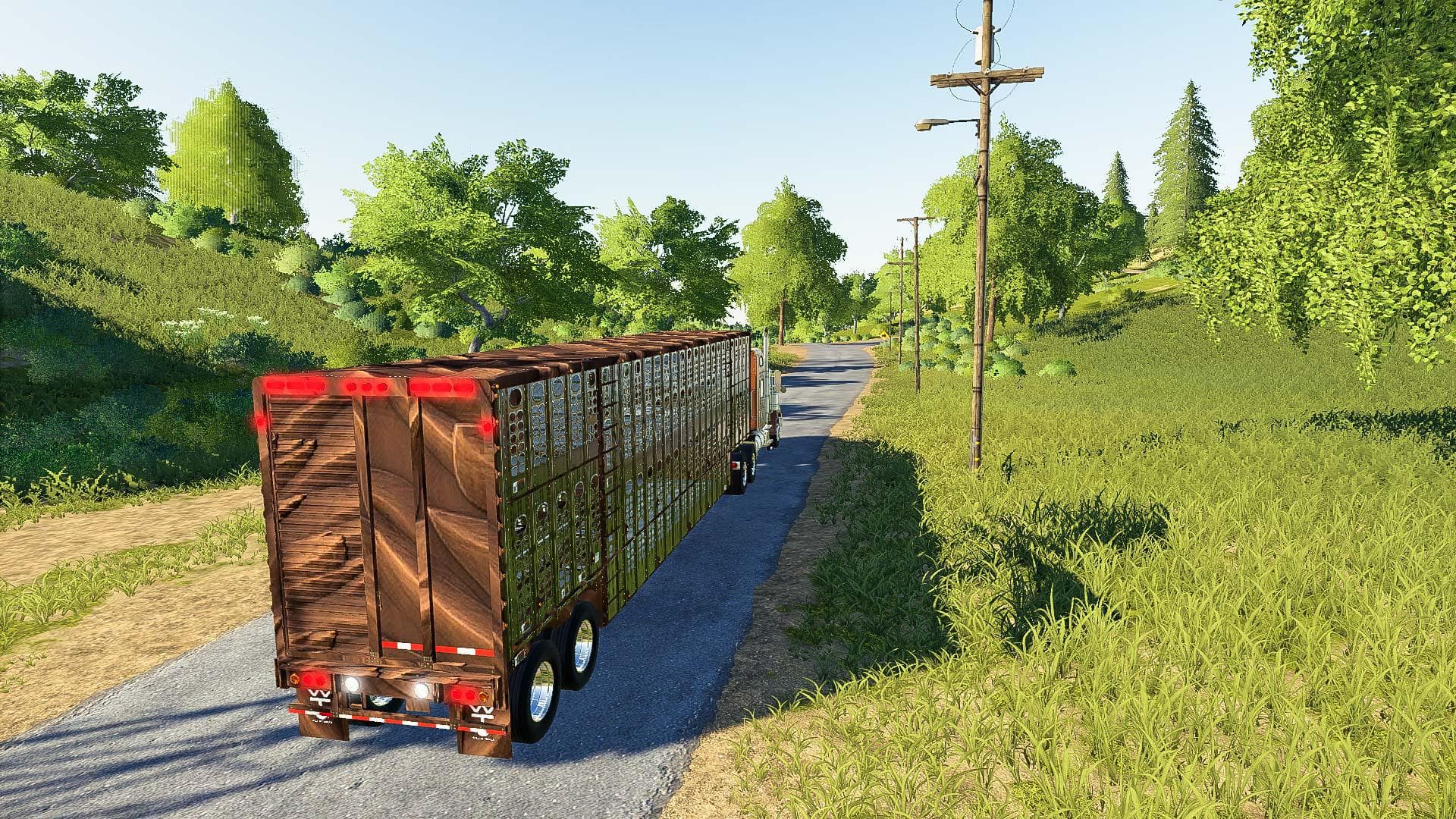 SILVERSTAR HORSE TRAILER 3