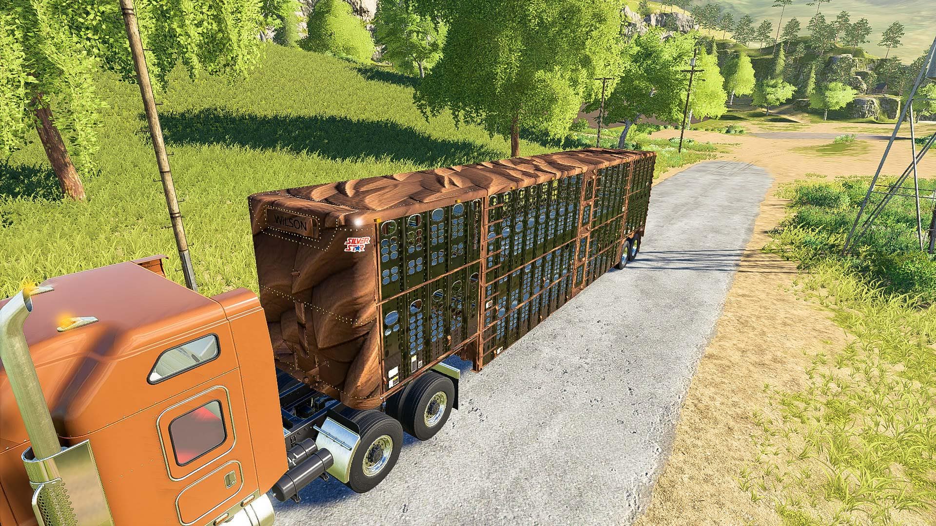 SILVERSTAR HORSE TRAILER 2