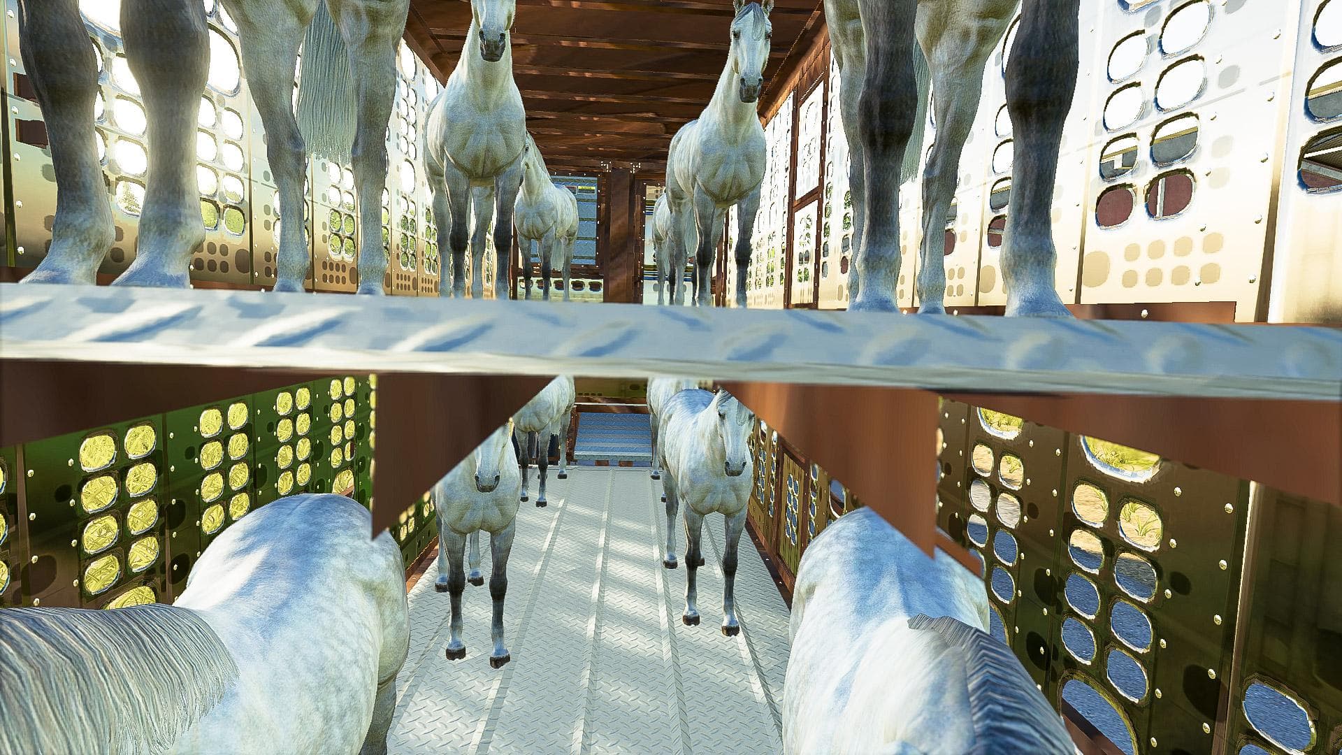 SILVERSTAR HORSE TRAILER